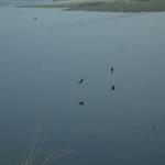 Vraj-Yatra-2014- (1685)